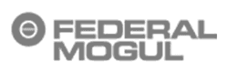 Federal Mogul